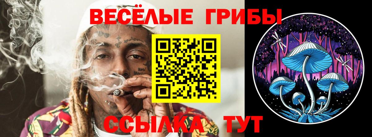 Псилоцибиновые грибы Psilocybine cubensis Славгород