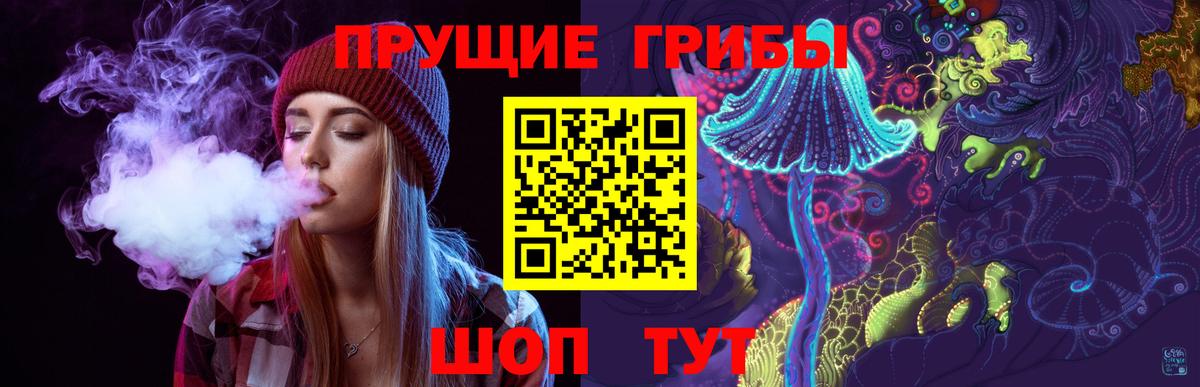 Псилоцибиновые грибы GOLDEN TEACHER  Вход с VPN  Славгород 